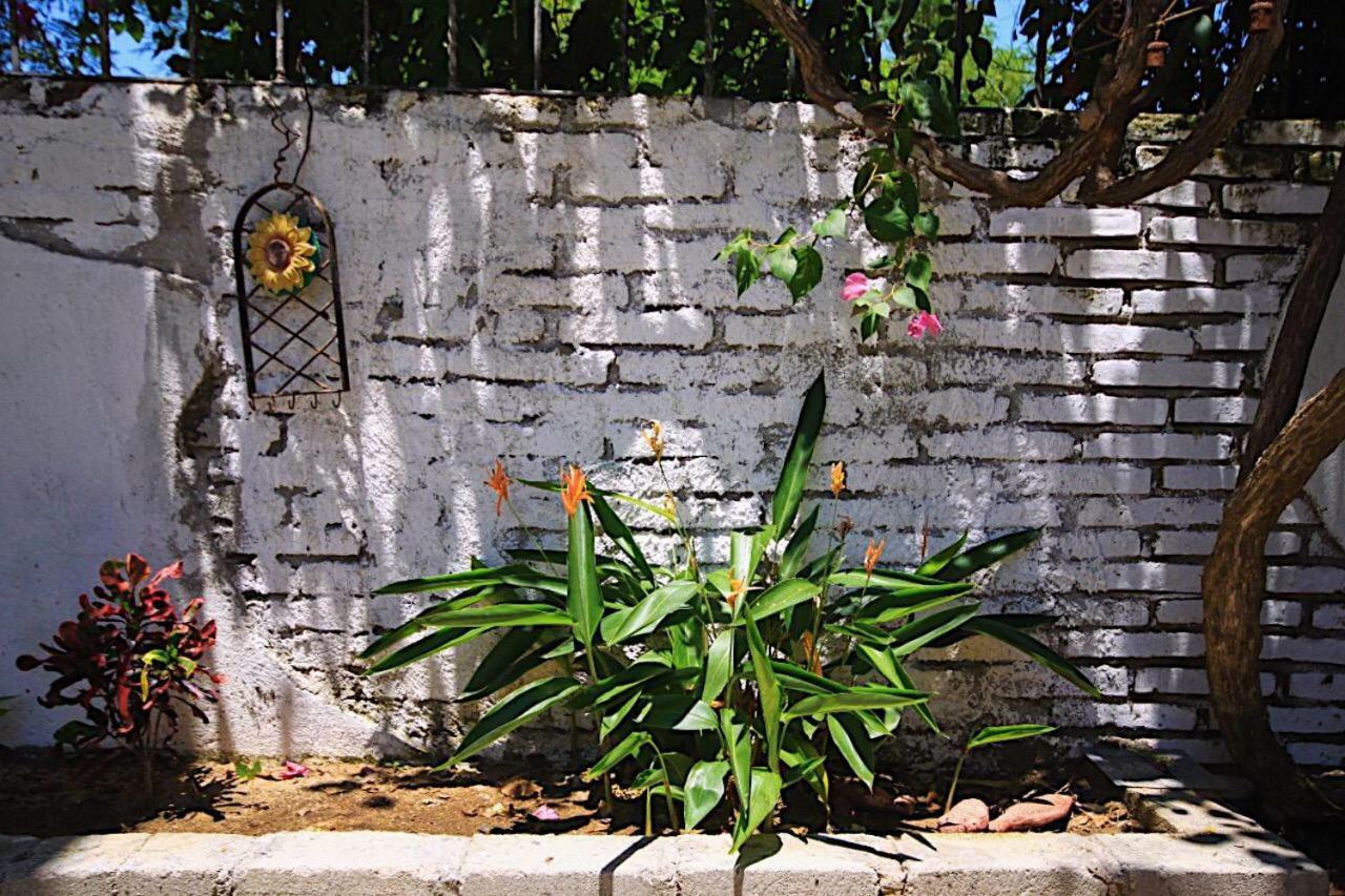 Casita Piedra Apartamento Puerto Escondido  Exterior foto